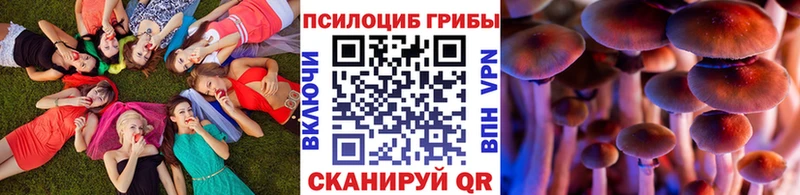 Галлюциногенные грибы Magic Shrooms  Кукмор 